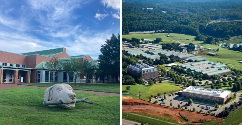 This North Carolina City Is Home To An Animal Hospital Doing Something No Other Vet Center In The World Does