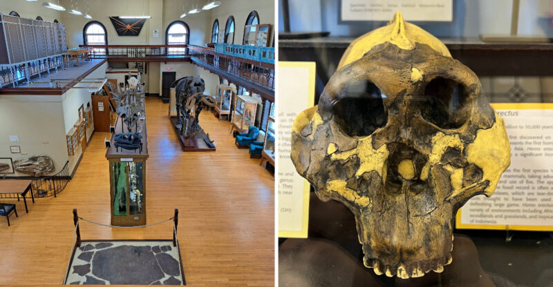 This Historic New Jersey Museum Is Free To Visit And Even Has An Egyptian Mummy