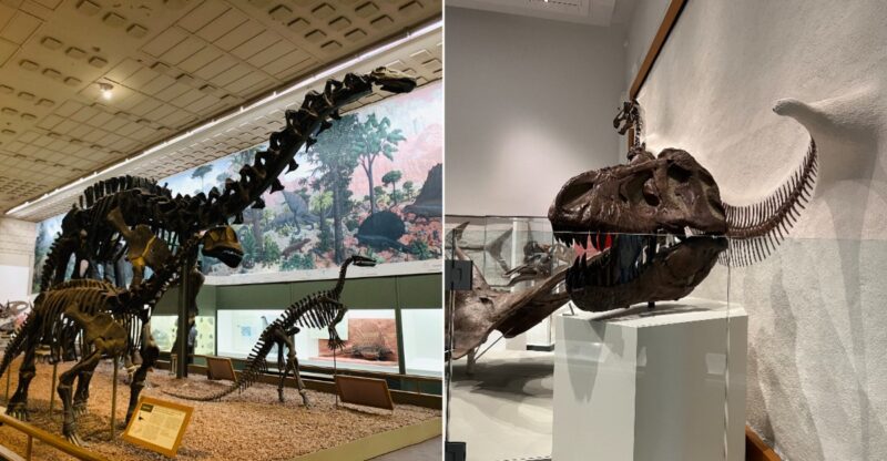 This Connecticut Museum Costs Nothing To Visit But Feels Like A Big-Ticket Attraction