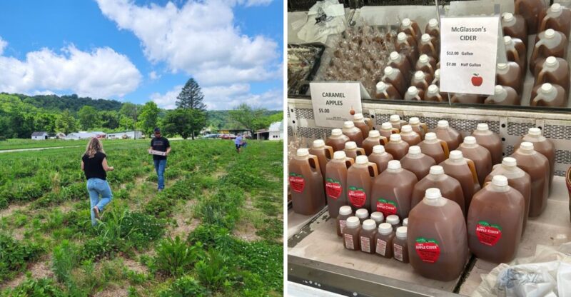 Kentucky’s Oldest Apple Orchard Still Presses Cider Like It’s The 1950s