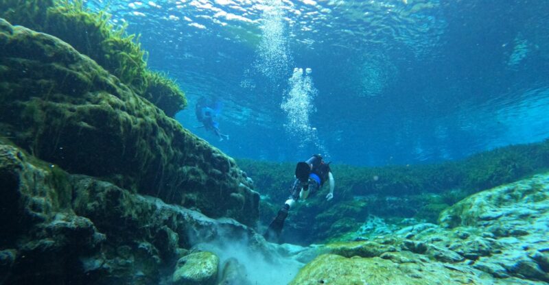 Deep In A Florida Forest, A Crystal-Clear Spring Stays 72 Degrees All Year