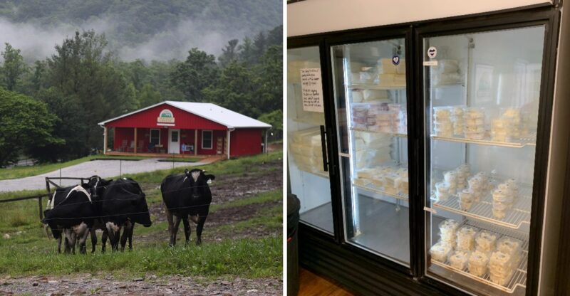 This North Carolina Dairy Farm Sells Fresh Cheese Curds Straight From Its Own Farm Shop