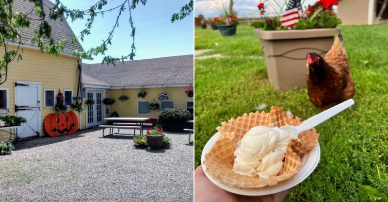 This Connecticut Dairy Farm Serves Up Incredible Ice Cream And Homemade Sandwiches