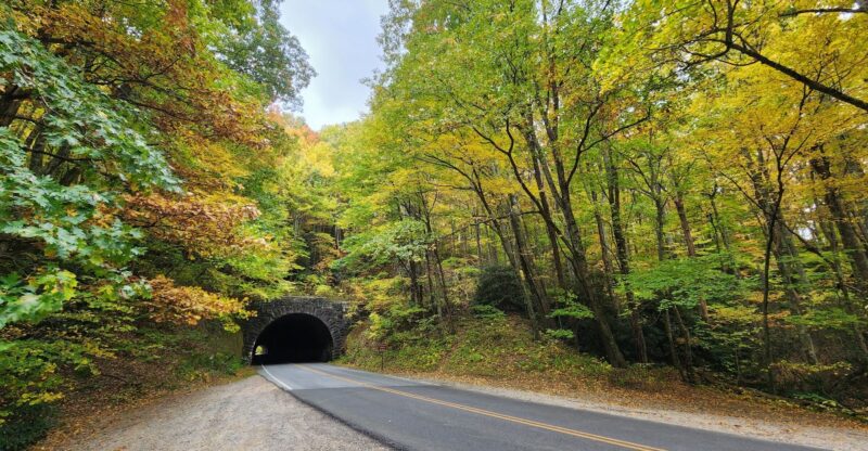 This North Carolina Tunnel Sits Along 114 Miles Of Jaw Dropping Fall Color
