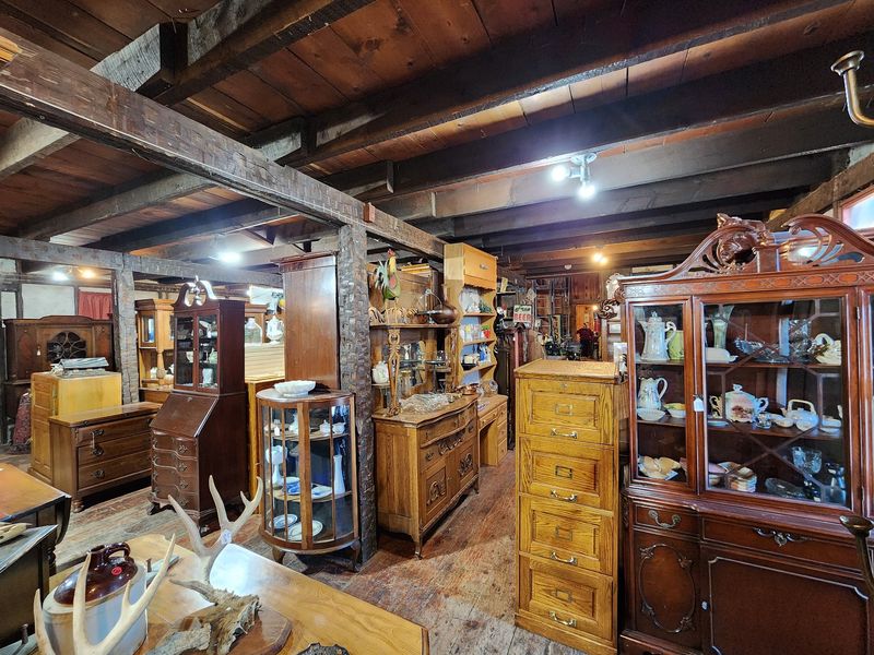 This Idaho Antique Shop Lets A Crew Of Rescued Cats Nap Among The Vintage Shelves