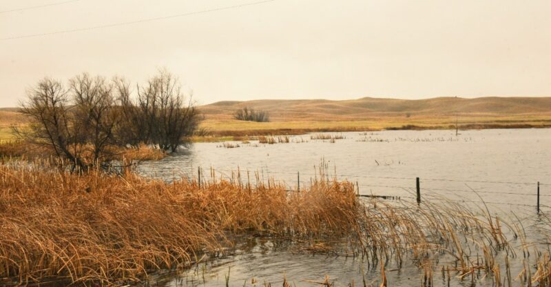 Waterfowl Fill The Sandhills Lakes At This Quiet Nebraska Wildlife Refuge
