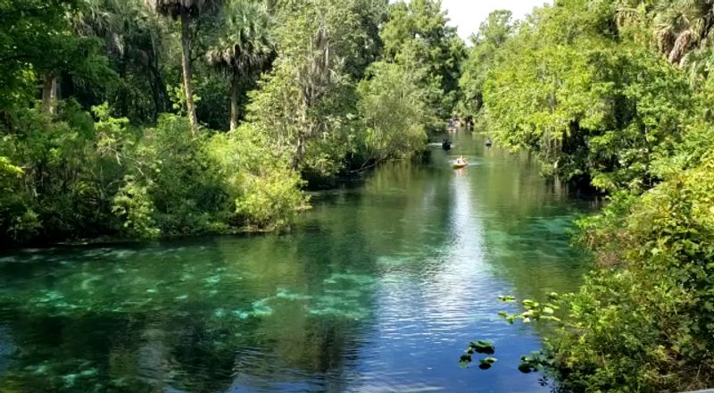 Six Florida springs you can paddle before the winter crowds show up