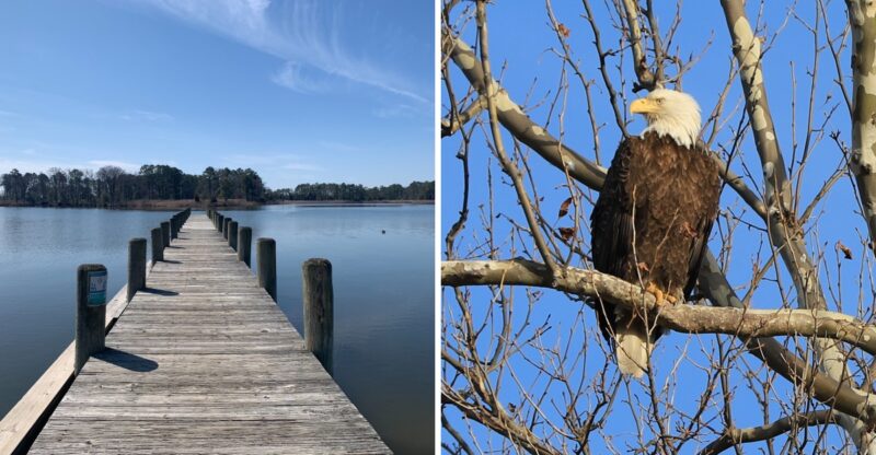 You Need To Know About This Magical Wildlife Refuge In Maryland