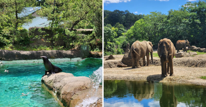 This 77-Acre Pennsylvania Zoo And Aquarium Feels Like A Full-Day Adventure