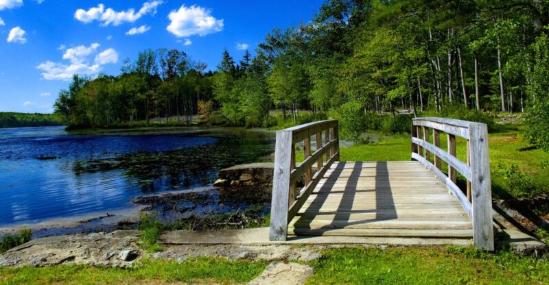 9 Dirt-Cheap Fall Day Trips In Connecticut You Will Want To Take This Year