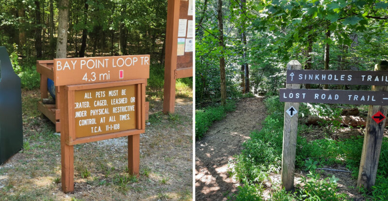 10 Tennessee Trails Around 2 Miles Or Less That Deliver Big Views Fast