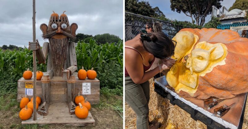 California’S Famous Pumpkin Festival Returns Next Month With Giant Gourds And A Massive Parade