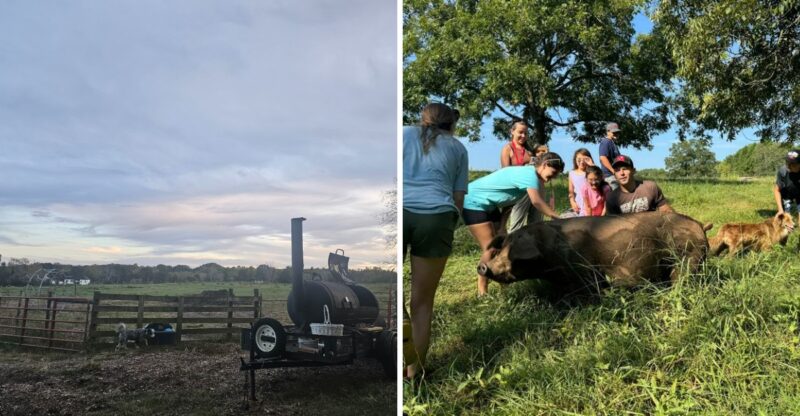 This Middle-Of-Nowhere Georgia Farm Store Sells Fresh Cheese, Butter, And Grass-Fed Goods