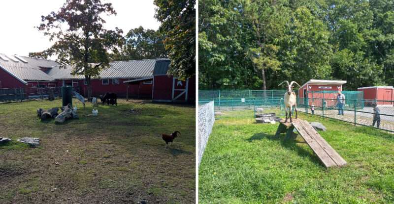 You’ll Fall In Love With This Charming Rhode Island Park And The Animals That Call It Home