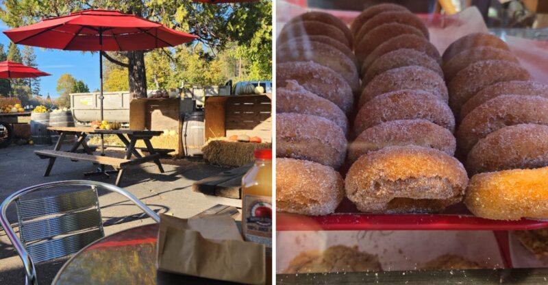 People Travel Miles For The Fresh Apple Cider Donuts At This Small-Town California Bakery