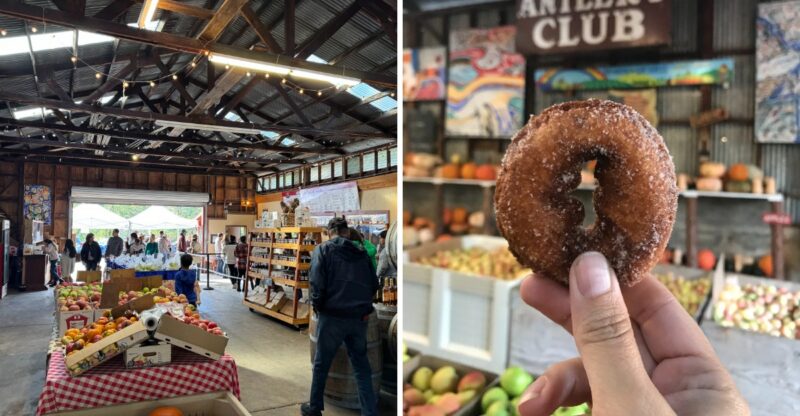 This California Orchard Makes Legendary Apple Cider Donuts Hot To Order
