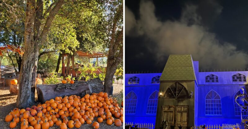 8 California Towns That Completely Transform For Halloween