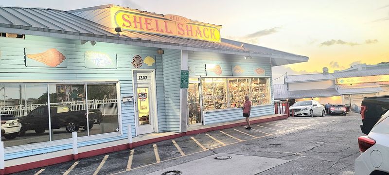 Real Sand Dollars Cost Less Than Craft-Store Fakes at These 7 Florida Shell Shops