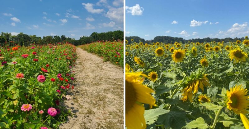 This Louisiana Botanic Garden Bursts With Color Around Every Corner