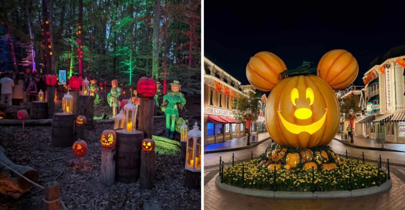 Walk Through An Enchanted Kentucky Forest This Halloween, Lit By Thousands Of Hand-Carved Pumpkins
