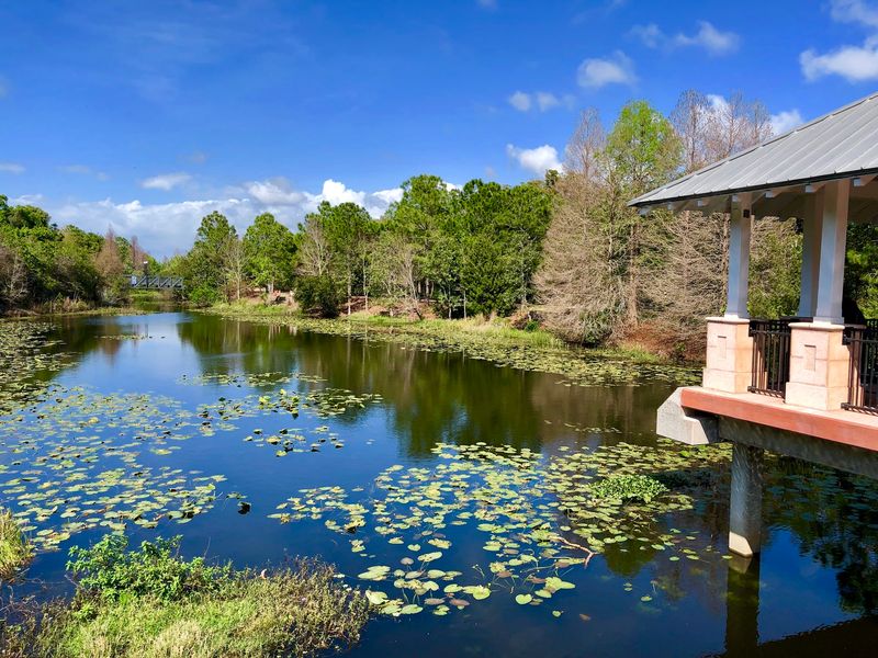 Seven Florida Gardens That Stay Green Through Hurricane Season and Beyond
