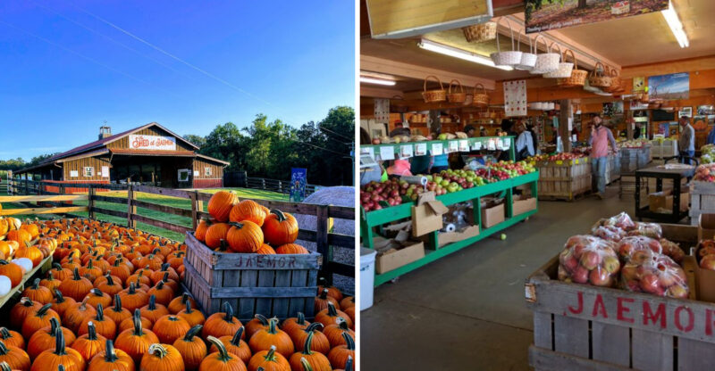 This Georgia Farm Is Hosting An Adults-Only ‘Night Out On The Farm’ This September
