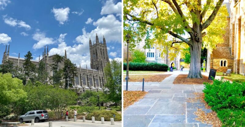 This North Carolina University Has Harry Potter-Like Corridors, Stunning Fall Trails, And A World-Famous Lemur Sanctuary