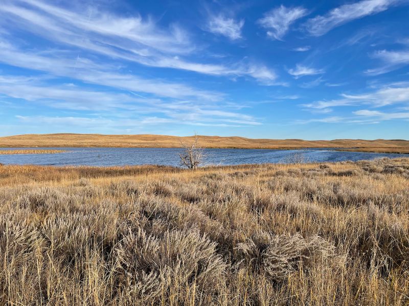Sandhill Lakes Surround This Nebraska Refuge Where Pelicans Stop Over Each Fall