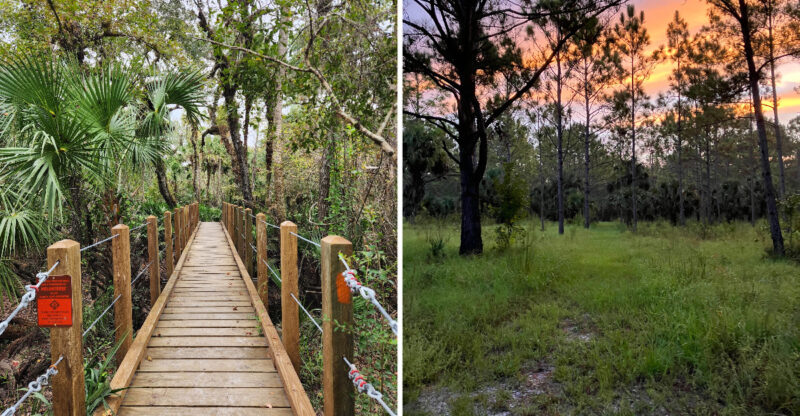 Family Adventure Awaits Along Florida’S Easy Lockwood To Barr Waterfall Trail