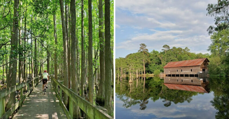 Residents Are Keeping This Stunning Georgia State Park Almost To Themselves