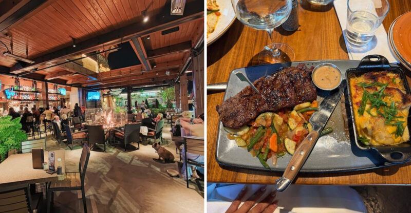 This Dog-Friendly Georgia Restaurant Lets Your Pup Dine In Style