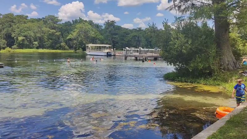 Glass-Bottom Boats Still Glide Over One Of Florida’s Deepest Freshwater Springs
