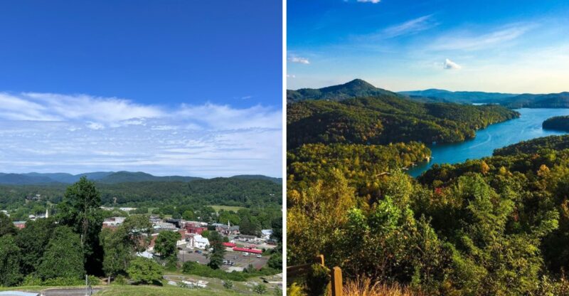 9 Georgia Counties Where Black Bears May Be More Active This Fall