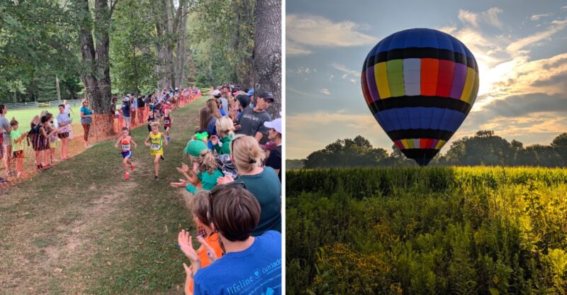 10 Kentucky Nature Playgrounds With Treehouses, Trails And Endless Adventure
