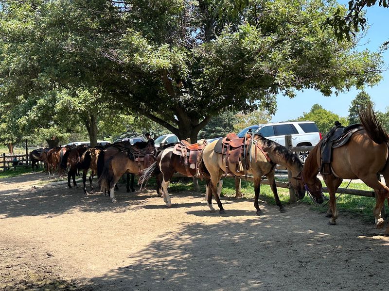 5 Nebraska Trail Rides Worth Saddling Up For