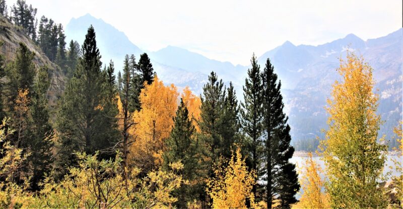 This Small California Town Has The Most Stunning Early Fall Foliage In The State