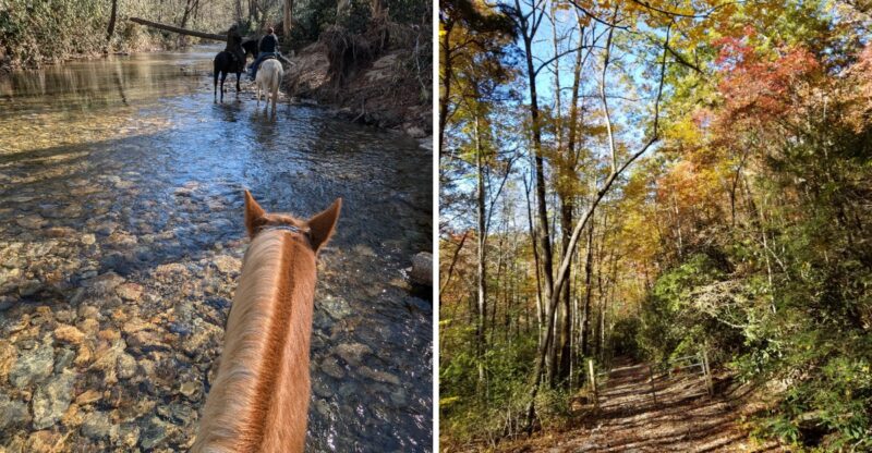 This North Carolina Trail Ride Takes You On Horseback Straight Across A Mountain River