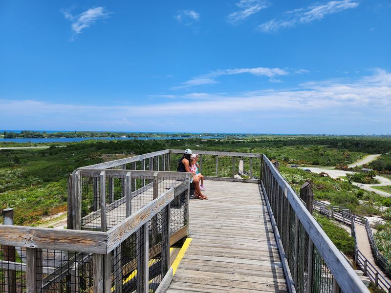 Florida’s Little Mountain Overlook Inside This State Park Hides A Secret Snake Problem