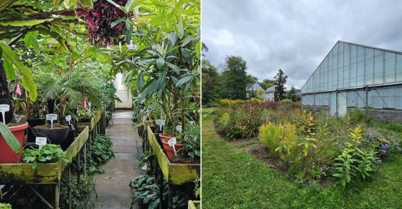 You’ll Feel Like You’ve Stepped Into Another World At This Connecticut Botanical Garden