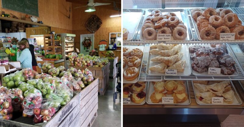 10 Kentucky Places Where The Apple Cider Donuts Are Worth The Drive