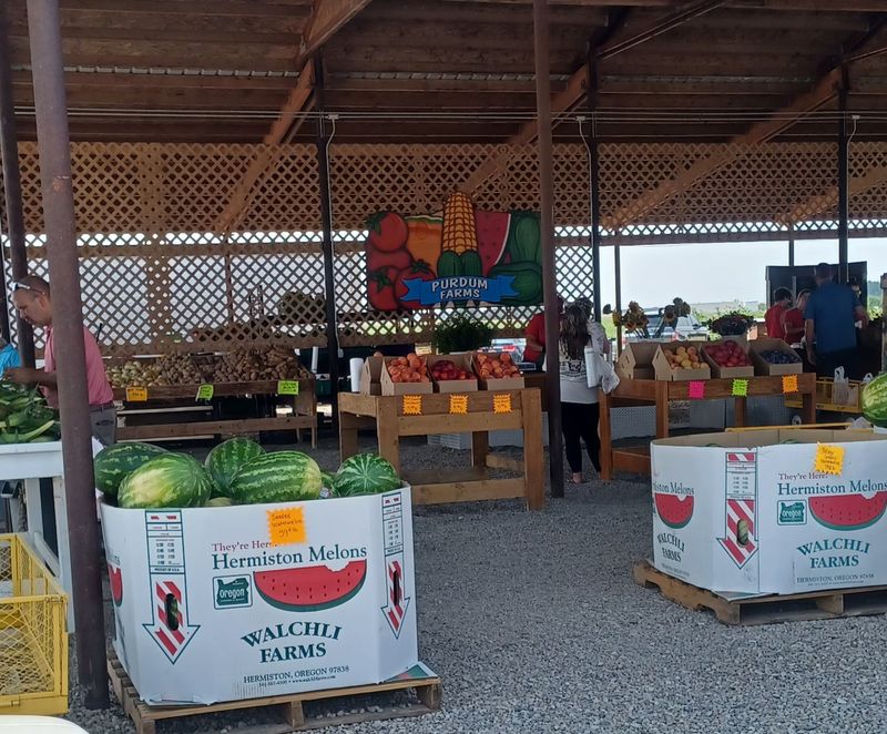 Browse These 8 Idaho Farm Stands Where You Bag Your Own Corn Or Squash Through Fall