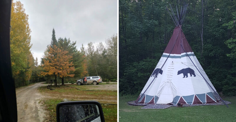 10 Michigan Counties Where Black Bear Sightings Are Impossible To Ignore This Fall