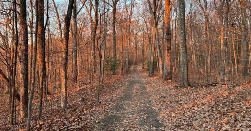 9 Connecticut Hiking Trails Locals Avoid In September Because The Copperheads Are Too Active