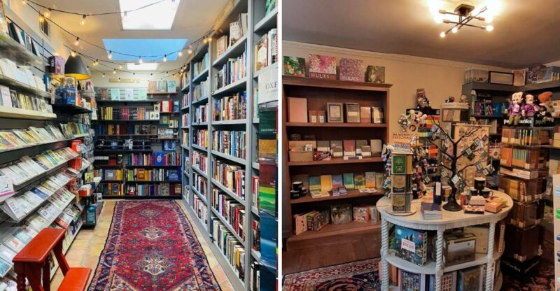 There Is A Reason This Historic Georgia Bookstore Has Stayed Open For Over Fifty Years
