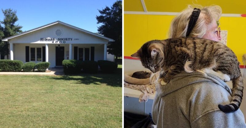 12 Kentucky Places Where You Can Volunteer And Truly Change Lives For Animals