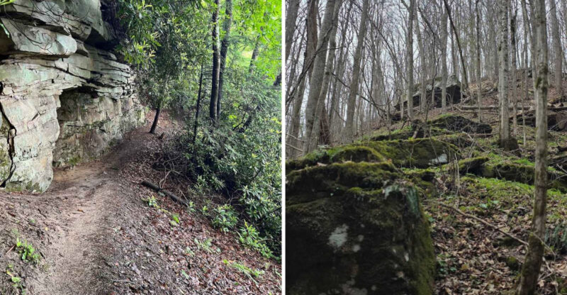 10 Must-Try West Virginia Hikes, Ranked From Gentle To Challenging