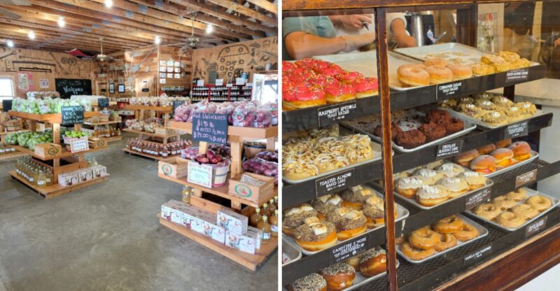 We Found 10 Georgia Apple Cider Donut Spots And Here’s Who Made The Cut