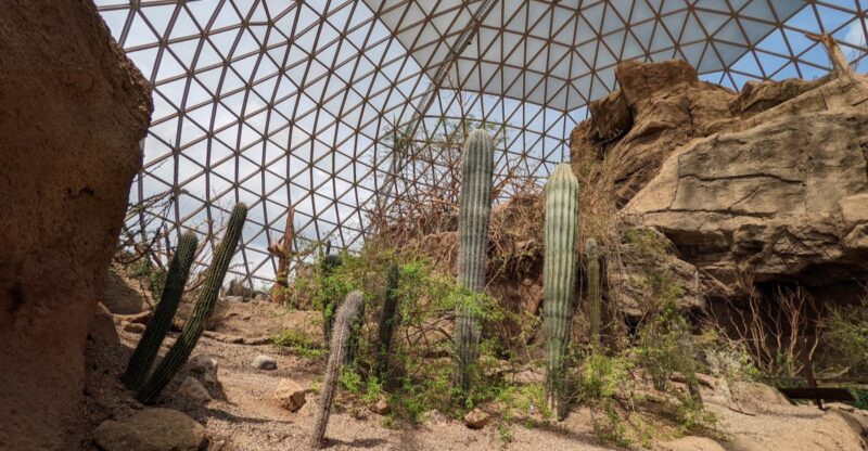 The World’S Largest Indoor Desert Sits Under A Nebraska Dome You Walk Straight Through