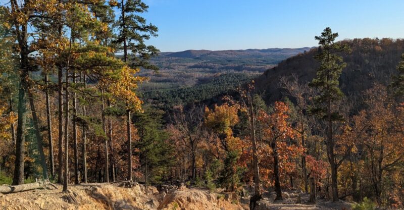 Forget The Crowded Blue Ridge, This Quiet North Carolina Forest Is Made For A Fall Escape