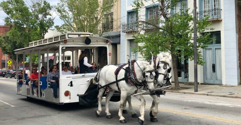 This 30-Minute Carriage Ride Might Be North Carolina’s Most Unexpected Trip Back In Time